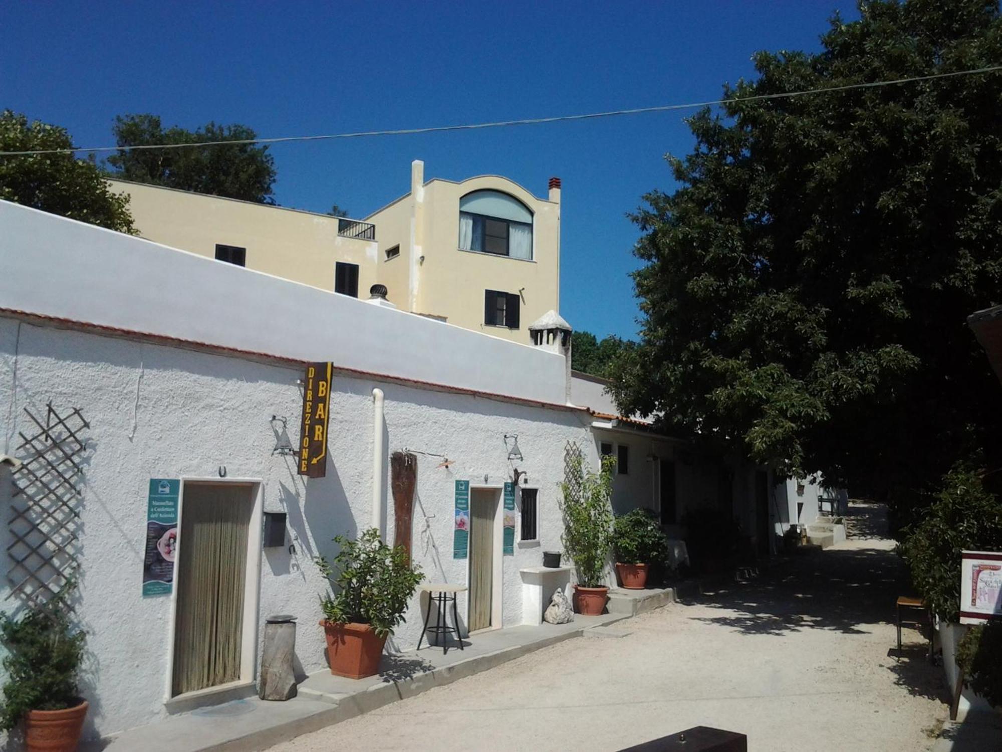 Agriturismo Monte Sacro Mattinata Εξωτερικό φωτογραφία